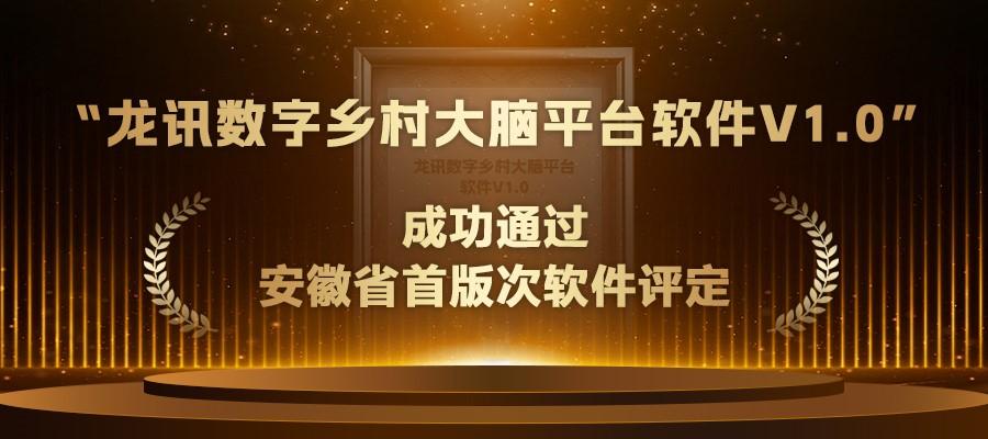 “龍訊數字鄉村大(big)腦平台軟件V1.0”成功通過安徽省首版次軟件評定